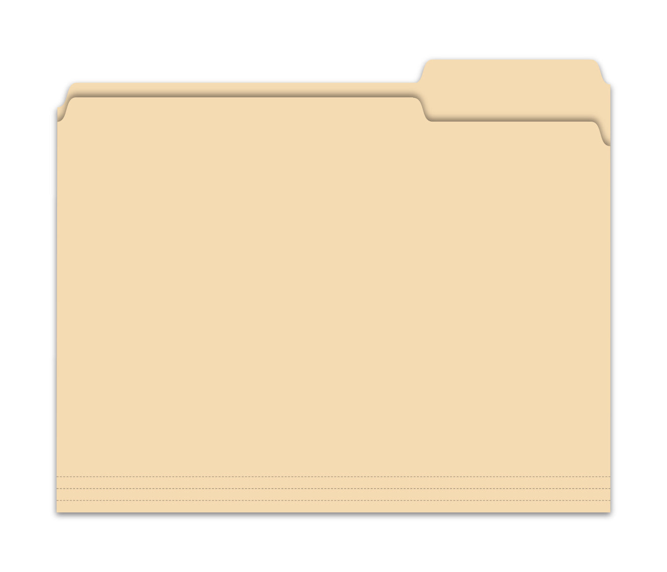 3 Tab File Folder