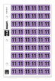 File Right Year Labels