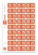 File Right Color-Code Years - Ringbook