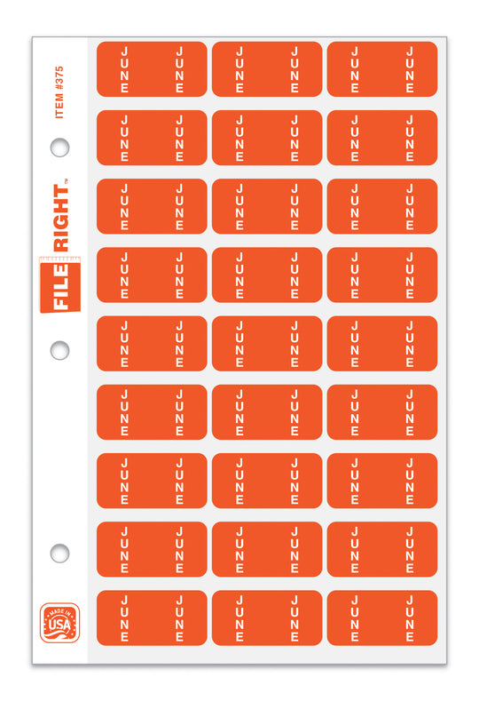 File Right Color-Code Month Labels - Ringbook