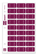 File Right Color-Code Month Labels - Ringbook