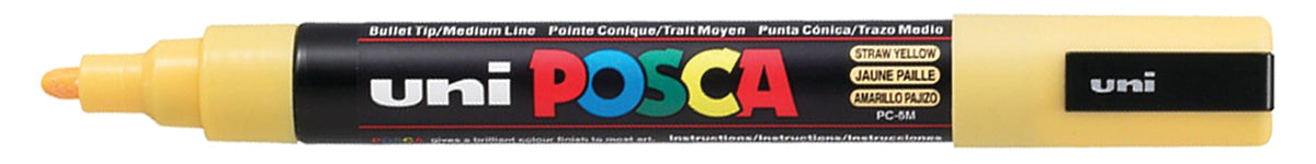 Windshield Markers - Bullet Tip Posca
