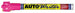 Auto Writer Windshield Markers