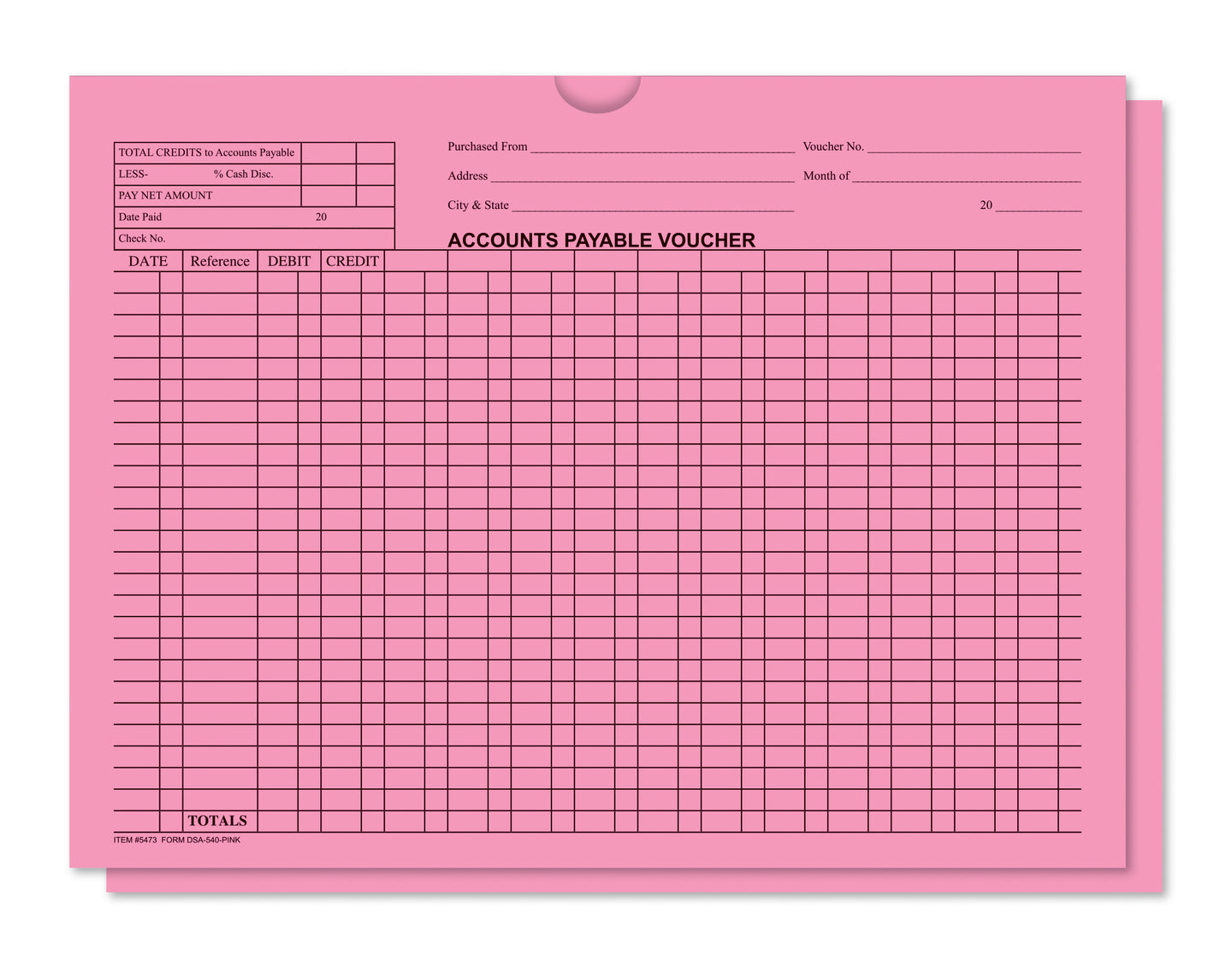 Accounts Payable Voucher Envelopes - General Accounting Style (Packs of 100)