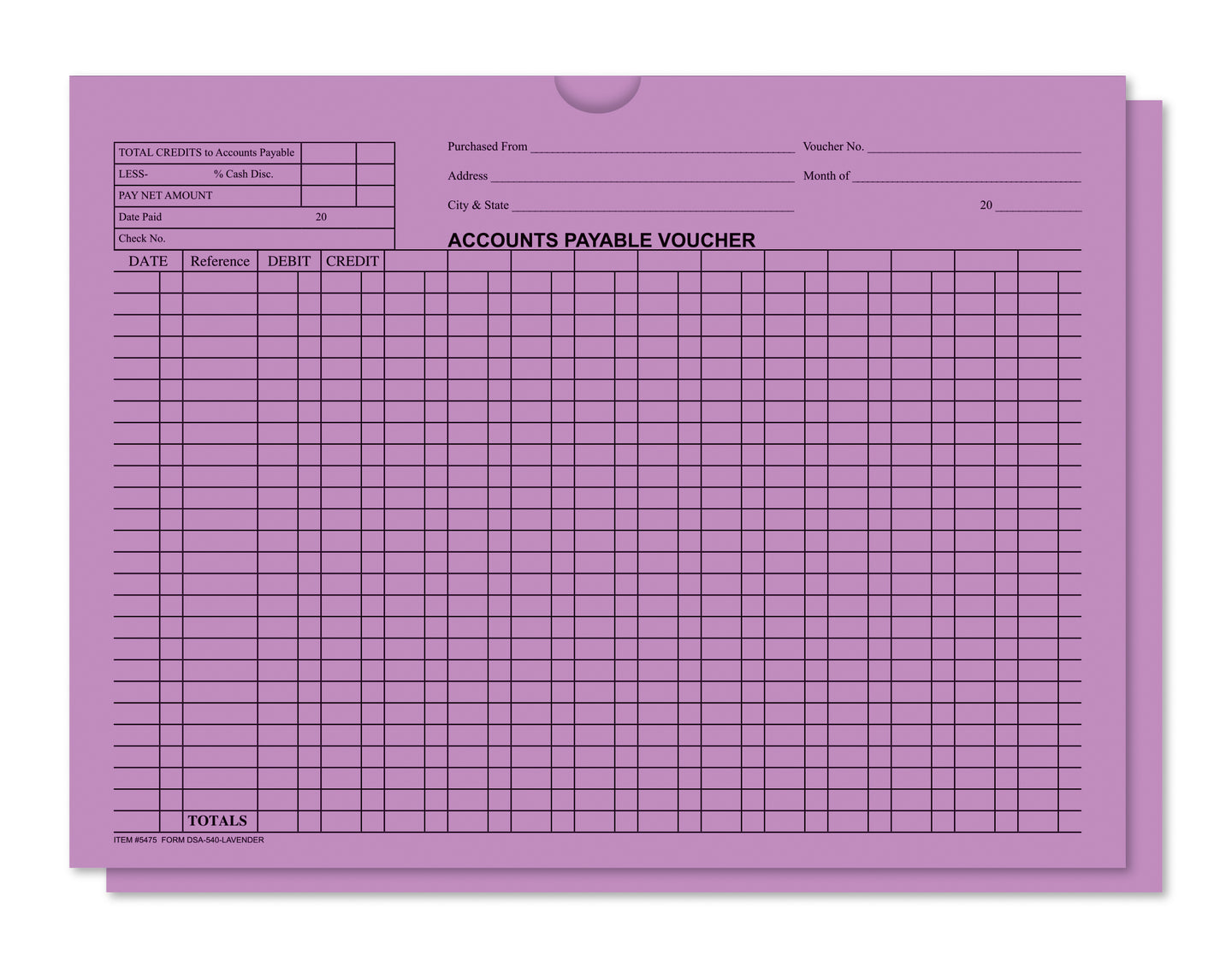 Accounts Payable Voucher Envelopes - General Accounting Style (Packs of 100)