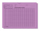 Accounts Payable Voucher Envelopes - General Accounting Style (Packs of 100)