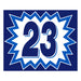 Blast Year Stickers