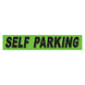 Slogan Window Stickers - 2 3/4" x 14 1/2" Fluorescent Green & Black