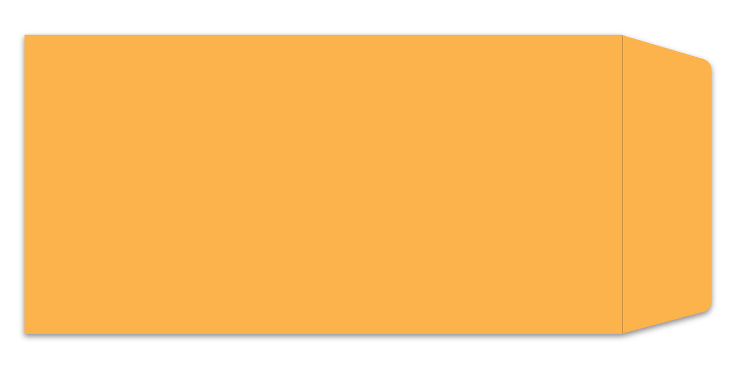 License Plate Envelopes - Blank Self Seal