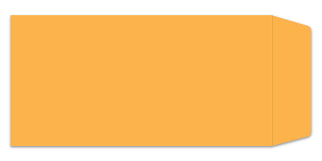 License Plate Envelopes - Blank Self Seal